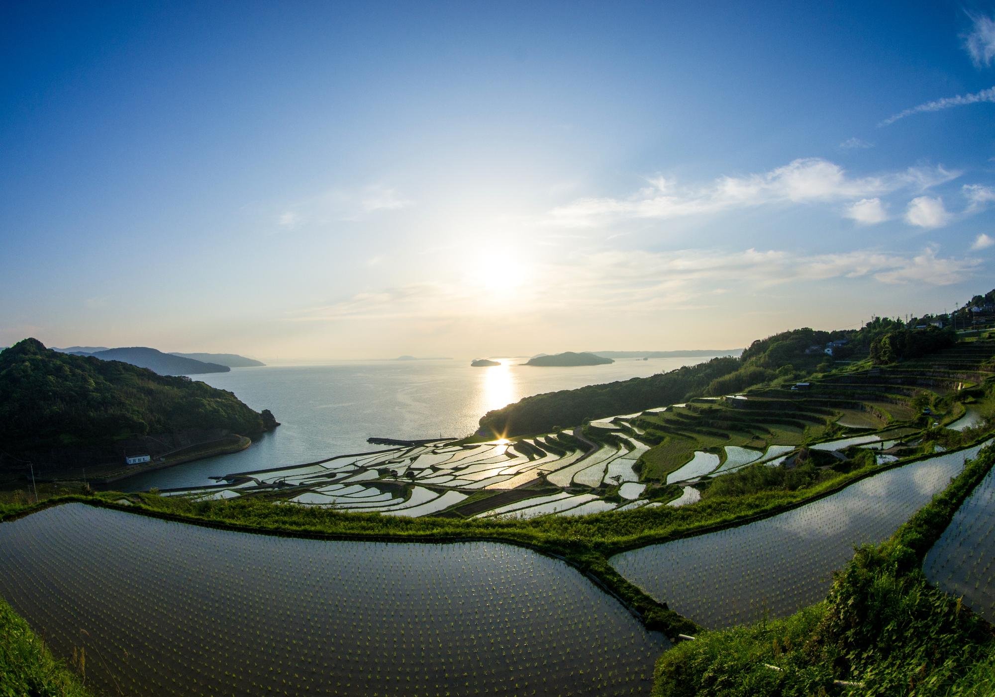🏞️ 도야 다랑논(도야 타나다) 이미지 1